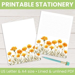 Printable Stationery: Orange Irises | Lined & unlined, floral letter-writing paper, journal pages, note pages, US Letter Size and A4