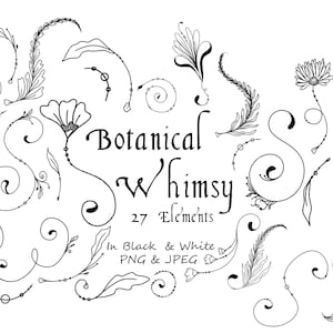 Può includere: Illustrazioni botaniche in bianco e nero con motivi floreali e a foglia. L'immagine include il testo "Botanical Whimsy" e "27 Elements", con le parole "In Black & White PNG & JPEG". Le illustrazioni sono in stile stravagante.