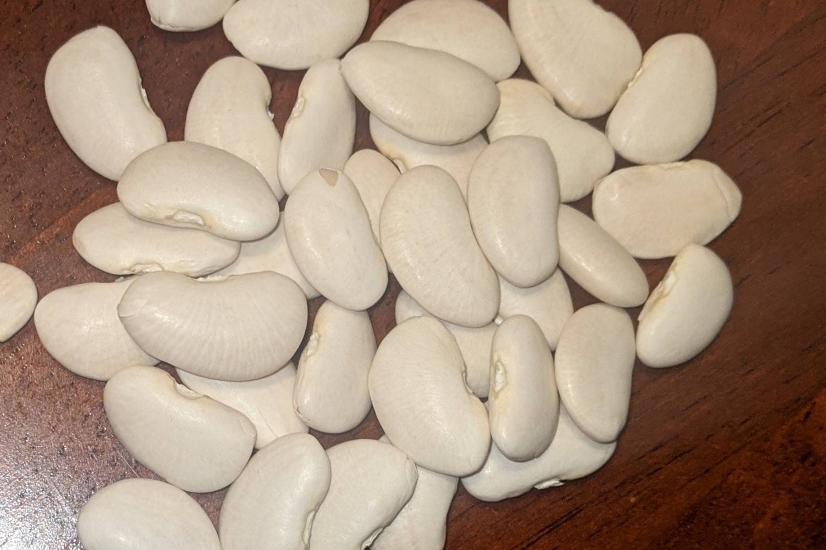Large Lima Beans Etsy