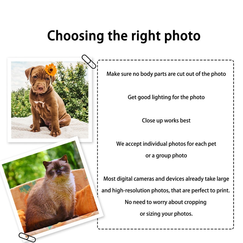 May include: Two images showing tips for choosing the right photo for a pet portrait. The first image shows a brown puppy sitting on a white surface. The second image shows a brown and white cat sitting on a patterned surface. The text below the images reads: "Make sure no body parts are cut out of the photo. Get good lighting for the photo. Close up works best. We accept individual photos for each pet or a group photo. Most digital cameras and devices already take large and high-resolution photos, that are perfect to print. No need to worry about cropping or sizing your photos."