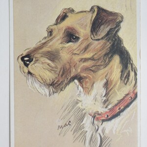 Lucy Dawson « Mac » - « Fox terrier à poil dur » - carte postale originale de la Saint-Valentin des années 30 (AJ)
