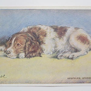Lucy Dawson « Mac » - « Springer Spaniel » - carte postale originale de la Saint-Valentin des années 30 (AJ)