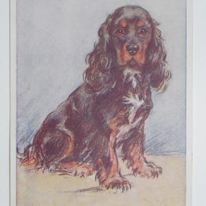 Lucy Dawson « Mac » - « Spaniel » - carte postale originale de la Saint-Valentin des années 30 (AJ)