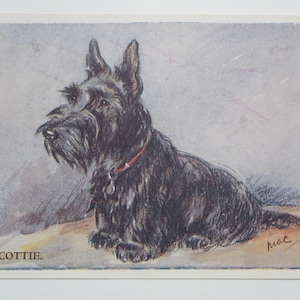 Lucy Dawson « Mac » - « Scottie ! » - carte postale originale de la Saint-Valentin des années 30 (AJ)