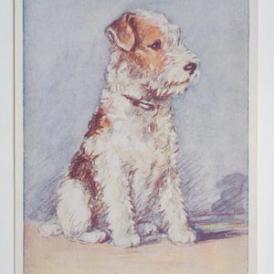 Lucy Dawson « Mac » - « Terrier » - carte postale originale de la Saint-Valentin des années 30 (AJ)