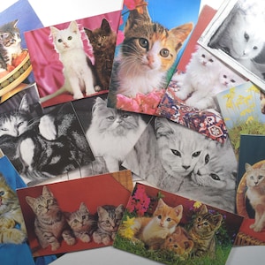 Cartes postales de chat et chaton mignons, vers 1990 - Lot de 14 x 14 (AQ)