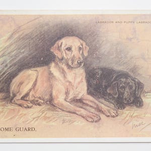 Lucy Dawson « Mac » - « The Home Guard » - carte postale originale de la Saint-Valentin des années 30 (AJ)