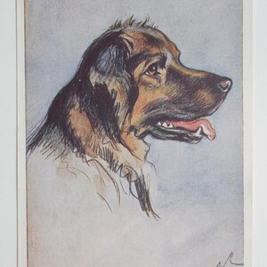 Lucy Dawson « Mac » - « Film Star » - carte postale originale de la Saint-Valentin des années 30 (AJ)