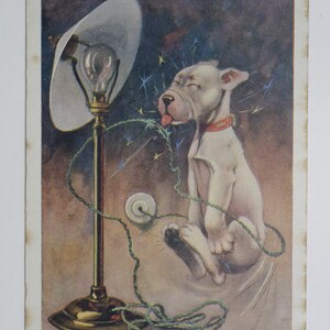 Il y a quelque chose chez vous qui m'émeut étrangement ! - BONZO - carte postale vintage originale George Studdy (AM)