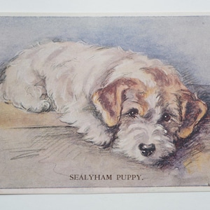 Lucy Dawson « Mac » - « Sealyham Puppy » - carte postale originale de la Saint-Valentin des années 30 (AJ)