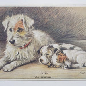 Lucy Dawson « Mac » - « Jumeaux. Des Jumeaux !" - carte postale originale de la Saint-Valentin des années 30 (AJ)