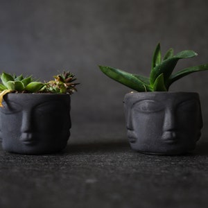 Mini Succulent Pot, Succulent Planter, Concrete Planter, Indoor planter, Small Planter, Modern Planter,Herb Planter, Minimalist Planter
