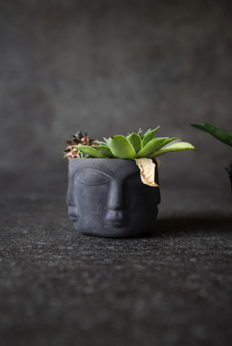 Modern Head Planter, Mini Concrete Succulent Pot, Cement Cactus Planter, Primitive Face Desk Decor, Small Apartment Housewarming Gift image 2