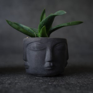 Modern Head Planter, Mini Concrete Succulent Pot, Cement Cactus Planter, Primitive Face Desk Decor, Small Apartment Housewarming Gift image 1