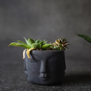 Modern Head Planter, Mini Concrete Succulent Pot, Cement Cactus Planter, Primitive Face Desk Decor, Small Apartment Housewarming Gift image 6