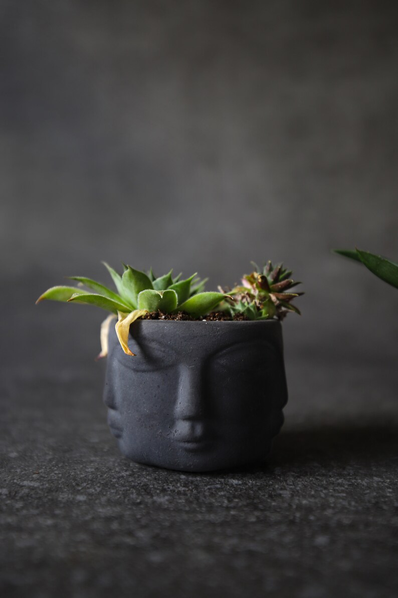 Modern Head Planter, Mini Concrete Succulent Pot, Cement Cactus Planter, Primitive Face Desk Decor, Small Apartment Housewarming Gift image 6