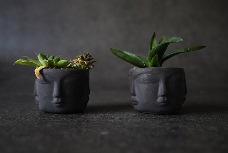 Modern Head Planter, Mini Concrete Succulent Pot, Cement Cactus Planter, Primitive Face Desk Decor, Small Apartment Housewarming Gift image 3