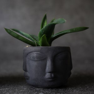 Modern Head Planter, Mini Concrete Succulent Pot, Cement Cactus Planter, Primitive Face Desk Decor, Small Apartment Housewarming Gift image 5