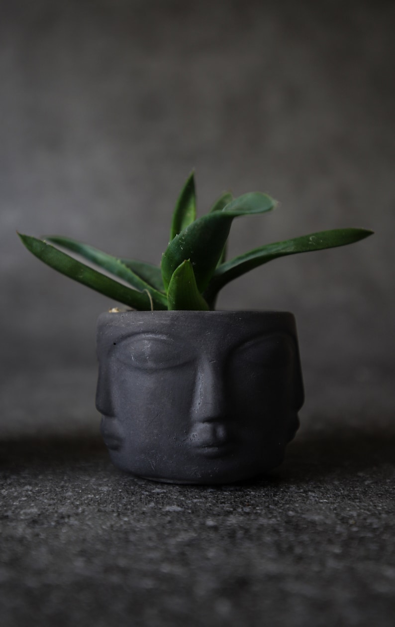 Modern Head Planter, Mini Concrete Succulent Pot, Cement Cactus Planter, Primitive Face Desk Decor, Small Apartment Housewarming Gift image 5