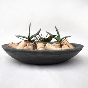 Succulent Bowl, Bowl Planter, Low Bowl Planter, Potted Succulent, Concrete Bowl, Entryway Tray, Serving Bowl, Concrete Planter, Fruit Bowl