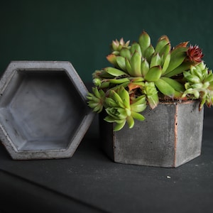 Small Succulent Pot, Concrete Planter, Mini Pot, Small Planter, Concrete Pot, Indoor Plants Pot, Cute Plant Pot, Houseplant Pot, Herb Pots