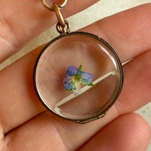 Antique Edwardian Art Nouveau flower Pansy Locket pendant Gold filled Photograp gift vintage charm sentimental Fob pendant mourning necklace