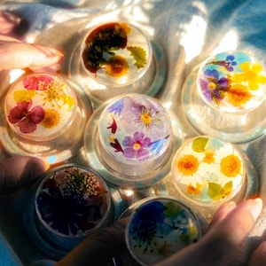 Op de afbeelding: Een verzameling van zes transparante glazen koepels met geperste bloemen erin. De koepels zijn in een cirkel op een wit stofoppervlak gerangschikt. De bloemen zijn in verschillende kleuren, waaronder roze, paars, geel en wit.