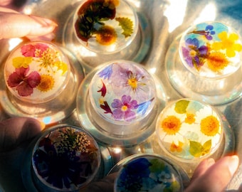 Real Pressed Flower Magnetic Phone Grip, Magsafe Flower Phone Grip, Daisy Flower Phone Grip, Floral Phone Holder, Purple Flower Phone Grip