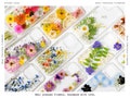 Real Pressed Flower Phone Case for iPhone 15 14 13 12 11 Pro Max X XR SE case, Samsung Galaxy S23 S24 Ultra case, Google Pixel 8 9 Pro case product logo