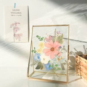 Pressed flower frame pressed flowers pressed art flower gift botanical art collage Christmas gift holiday decor gift for her gift for mom