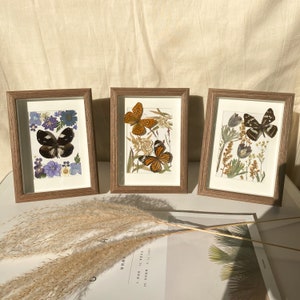 set of 3 Pressed flower frame pressed flowers pressed art flower gift botanical art collage butterfly flower frame