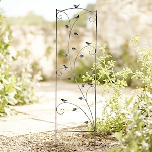 Gerades Rankgitter Bella ca. 150 cm - Gartendekoration