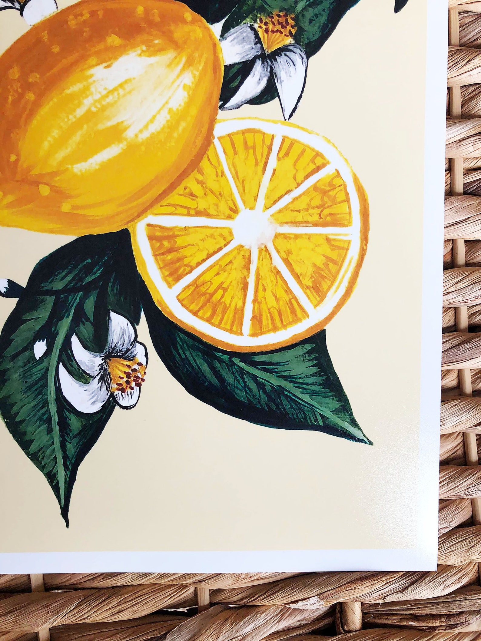 Set of Two Oranges and Lemons wall art Etsy