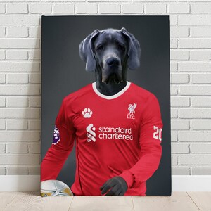 Dog liverpool shirt discount