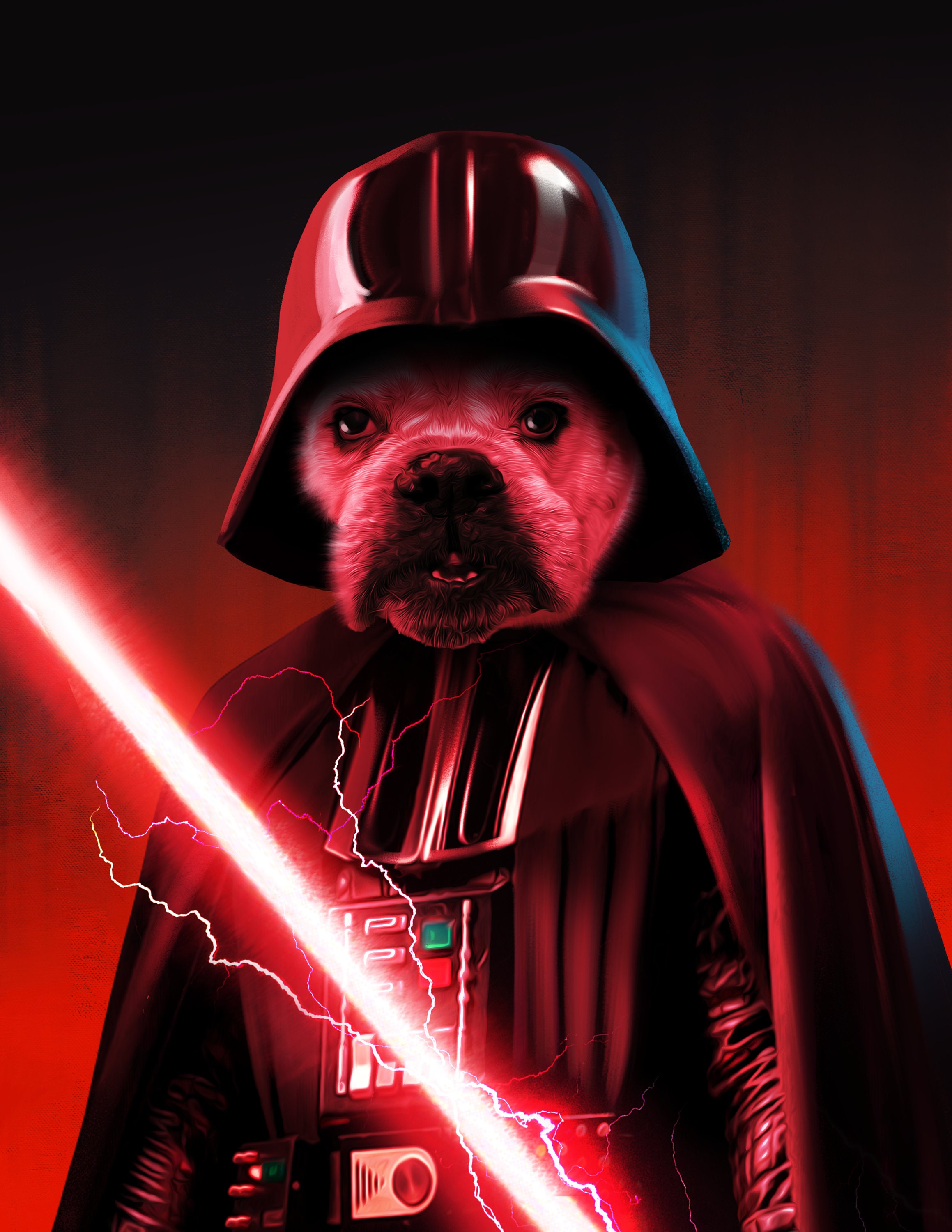 Custom Pet Portrait Starwars Darth Vader Pet Canvas Funny Pet - Etsy