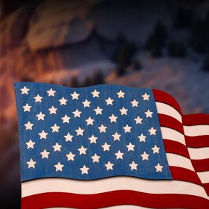 USA FLAG Wall POSTER, Coolest travel gifts, Custom wooden flag for wall