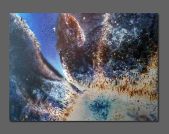 LE 5 prints Fotografie Blau Physalis Bild invertiert Makroaufnahme * moderner Druck auf Alu Dibond * Butlerfinish Metalleffekt, limitiert