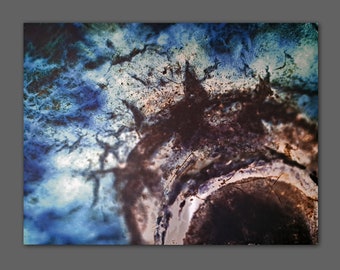 LE 5 prints Fotografie Granatapfel II invertiert - Makro Druck Alu Dibond Butlerfinish Metalleffekt limitiert Bild Blau semi abstrakt