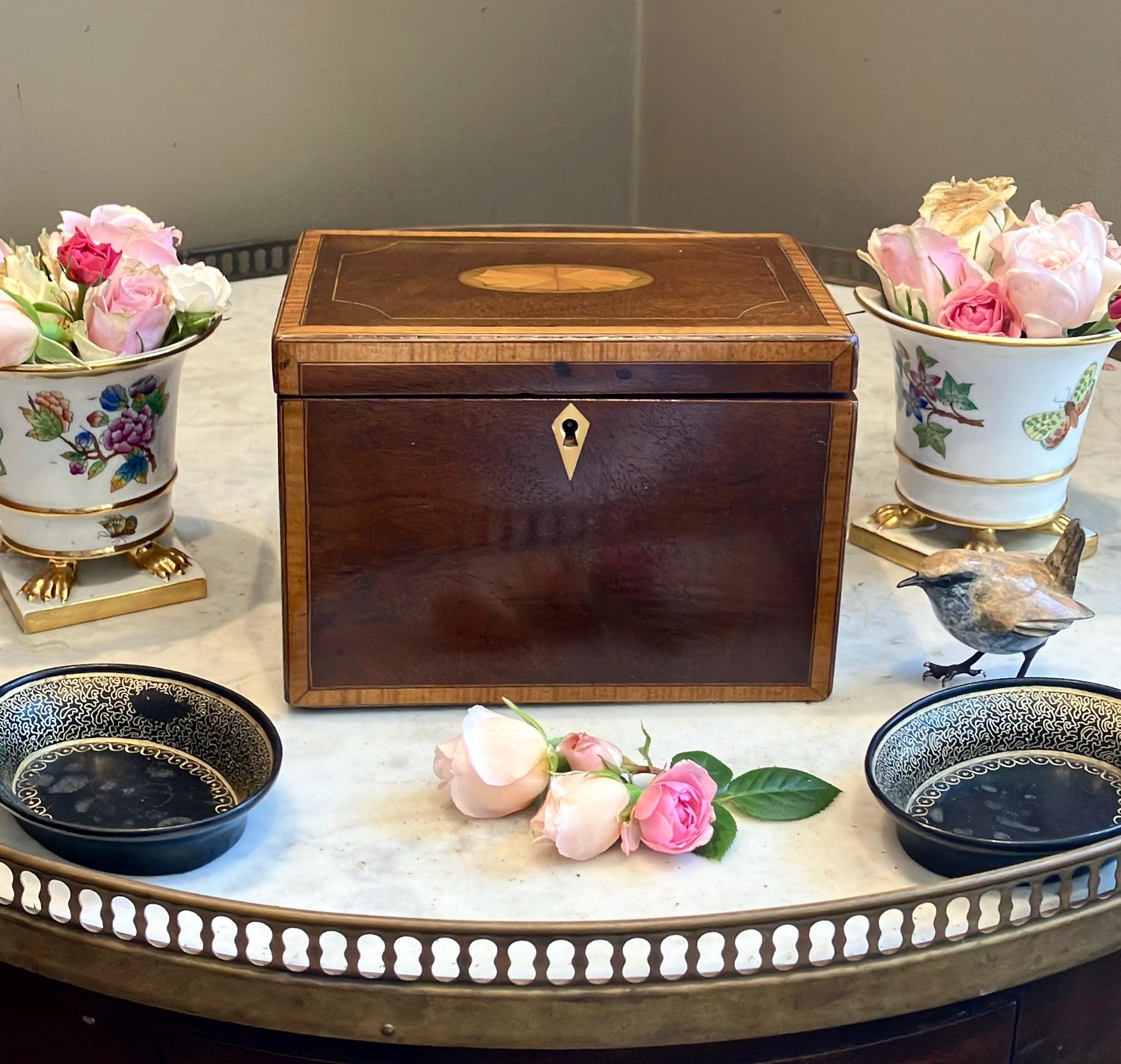 Antique tea caddy - Etsy 日本