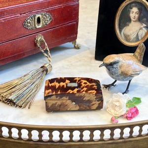 May include: A rectangular box with a brown and tan tortoiseshell pattern, featuring a small silver-toned rectangular plaque on the lid and a single silver-toned button closure on the front, resting on four small feet.