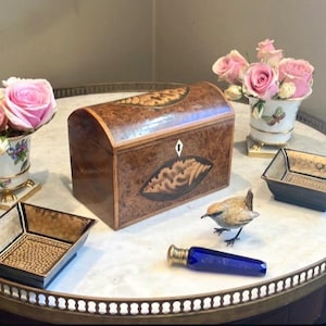 Mrs Bennet was dreaming of her girls when young collecting shells on the beach holding her Antique Burr Yew Conch Shell Inlaid Tea Caddy