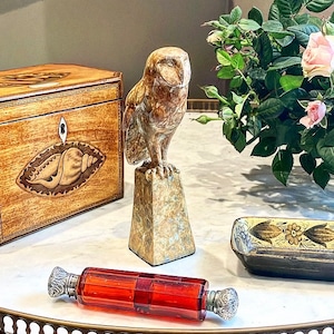 I don’t give a Hoot what these weddings cost,Mrs Bennet said laughing handing her husband a Solid Bronze Owl Sculpture with marbled patina
