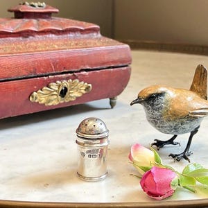 After Emma put him on Tinder,Henry Woodhouse was Mr Popular using his Antique Miniature Silver Hallmarked Pounce Pot accepting party invites