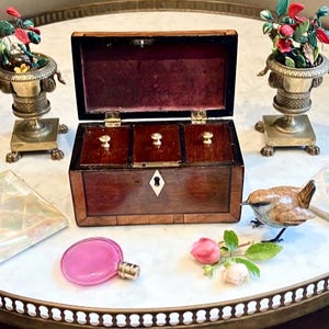 Può includere: Un'antica teiera in legno scuro con tre scomparti, aperta per rivelare un interno bordeaux. La scena comprende un flacone di profumo rosa, una statuetta di uccello e due vasi decorativi in metallo con composizioni floreali.