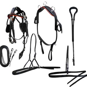 driving harness storage bolsa