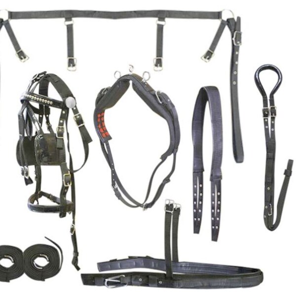 Horse Harness Etsy