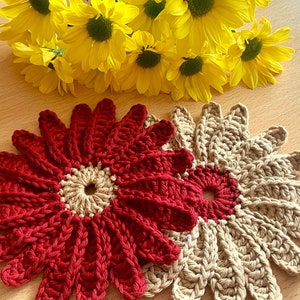 Crochet Pattern: Daisy Flower Coasters, Beginner, Handmade Table Decor, Instantly Download PDF with Photos by Knotty.Yarn