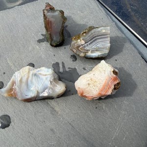 Op de afbeelding: Vier ruwe agaatstenen met duidelijke natuurlijke patronen en kleuren. Eén steen vertoont grijze en witte banden, een andere heeft doorschijnende grijstinten, één is wit met blauwachtige tinten en de vierde heeft witte en oranje-rode lagen.