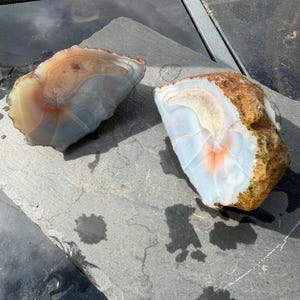 May include: Two halves of a split agate geode featuring translucent white and pale blue crystalline centres with distinct orange-red banding. The outer edges of the stones display a rough, textured, brown and tan mineral crust.