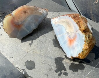 Scottish Agate Nodule Halves: Natural Pattern Stone Specimen